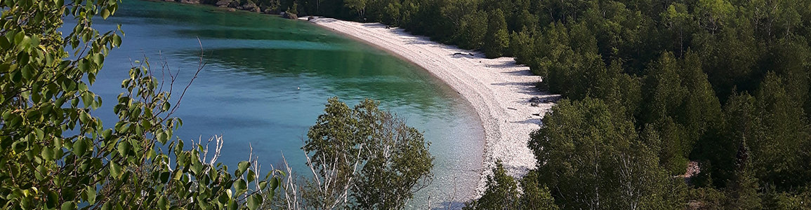 Driftwood Cove Beach