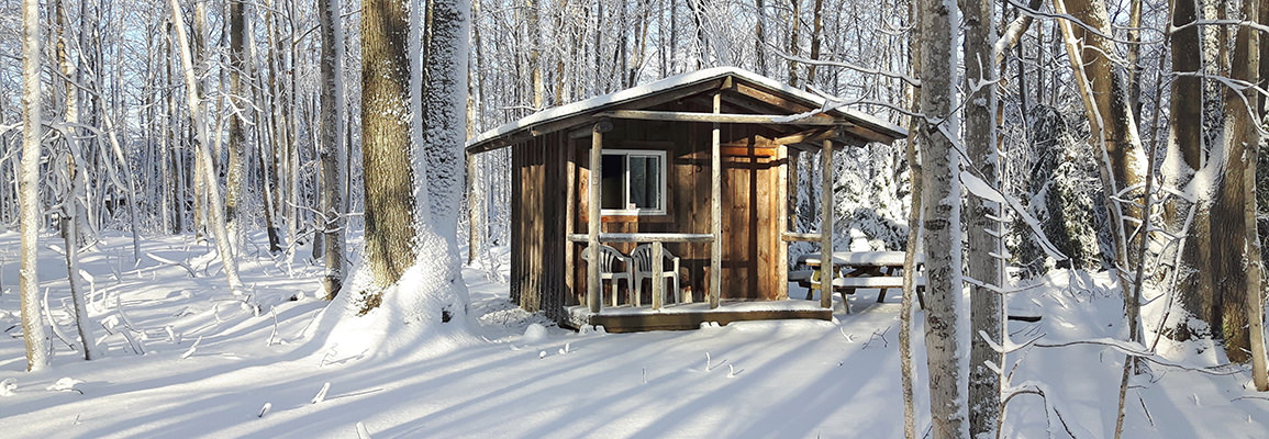 Harmony Acres Campground - Cabin in winter
