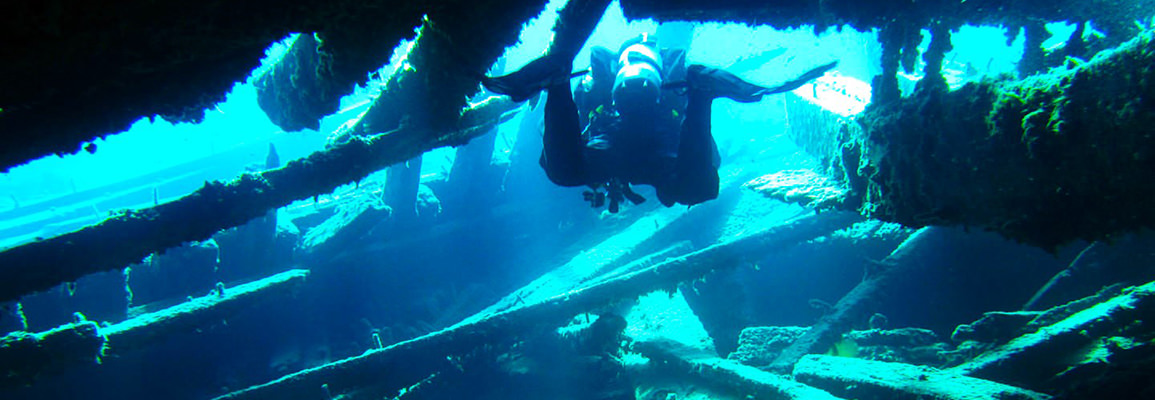 Harmony Acres Campground - King Swimthrough