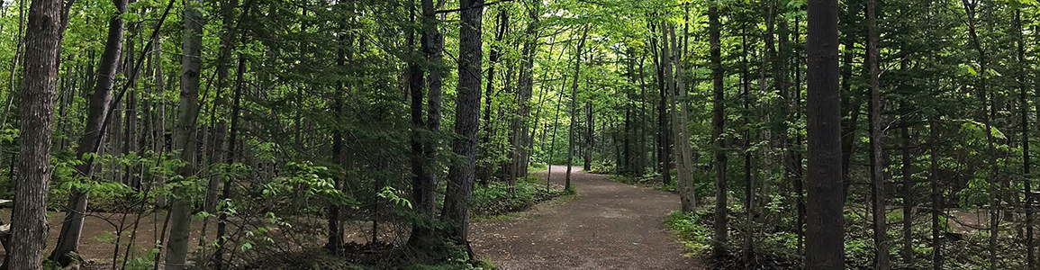 About Harmony Acres Campground - Roadway around campsites