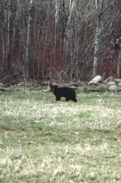 About Harmony Acres Campground